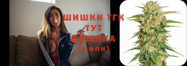 мдпв Бородино
