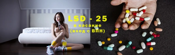 мдпв Бородино