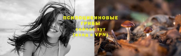 стафф Бронницы