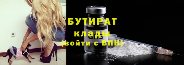 мдпв Бородино