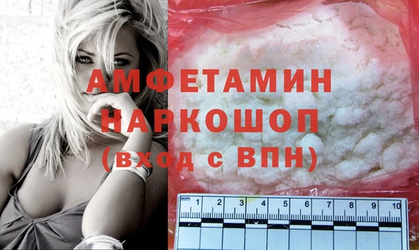 мдпв Бородино
