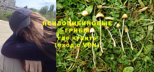 дурь Бугульма