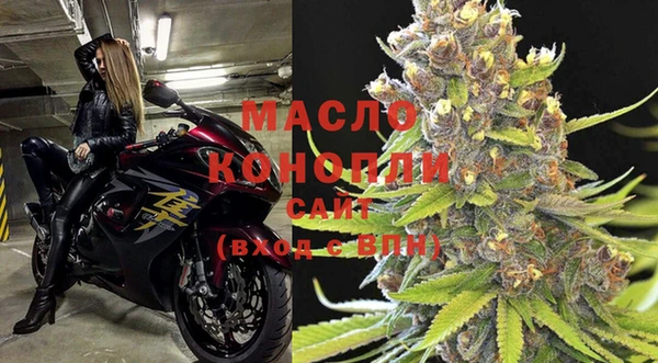 мдпв Бородино