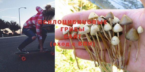стафф Бронницы